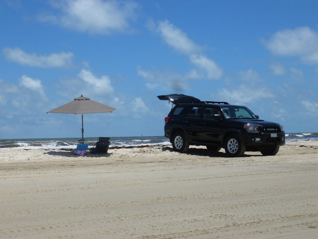 Aransas01.JPG