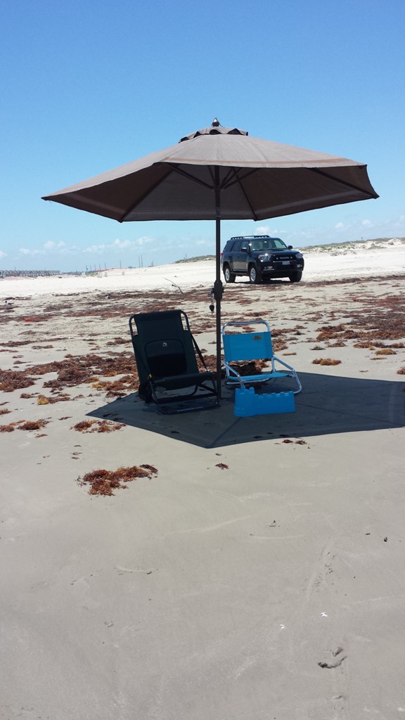 Aransas02.jpg